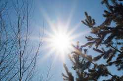 На Крещение в Харькове потеплеет: прогноз погоды на неделю
