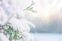 Снегопад и гололёд: в Харькове ухудшится погода