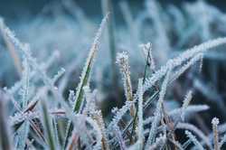 На Харківщину прийдуть морози: синоптики озвучили прогноз погоди
