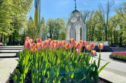 В Харькове и области на выходных ожидается потепление – прогноз на 8-9 апреля