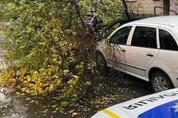 Харків’ян попереджають: негода забирає життя, рушить будівлі, автівки та валить дерева