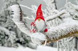 Какой будет погода на Рождество в Харьковской области: синоптики дали прогноз