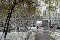 Сильные морозы и метели: какой будет зима в Харькове