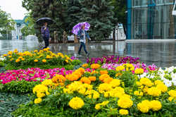 Синоптики зробили попередження: в Харків повертається сезон дощів