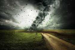 У Харкові вирує атлантичний циклон Hannelore: як зміниться погода
