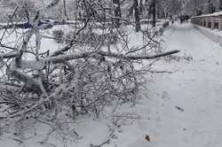 Харків’ян попередили про погіршення погоди: можуть падати дерева і дроти