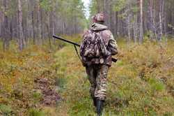 Животных в лесах Харьковщины продолжают отстреливать