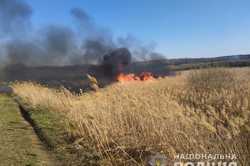 Полиция выясняет обстоятельства возгорания сухостоя под Харьковом