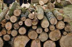 Обеспечивать дровами в Харьковской области будут в две очереди