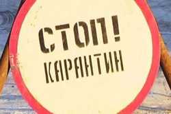 Через сказ кота у частині Харкова оголосили карантин 