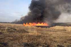 Харківські рятувальники розповіли, скільки загасили пожеж за добу (фото)