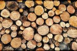 В Харьковской области дрова будут выдавать по очереди: какие громады входят
