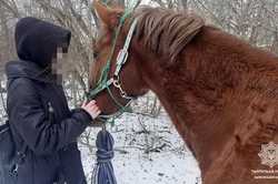 В Харькове патрульные вернули необычную пропажу: подробности