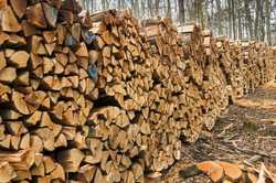 Для жителів Харківщини додатково закуплять дрова – Уряд виділив кошти