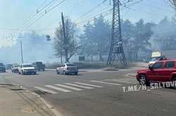 В Харькове спасатели потушили пожар в Григоровском бору