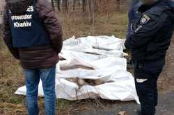 В Харьковской области весной россияне с самолета убили пятерых человек: среди них полуторагодовалый ребенок