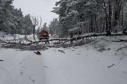 Под Харьковом дерево упало на дорогу и мешало проехать 