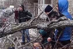 Мужчина, на которого упало дерево в Харькове, умер