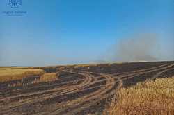 У Харківській області горять ліси, поля та урожай: причини (ФОТО)