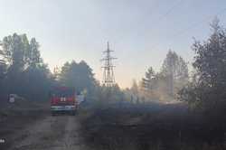 Під Харковом в черговий раз загорівся ліс (фото)