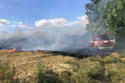 В Харьковской области загорелась лесополоса