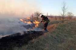 Под Харьковом из-за горящей травы люди едва не остались без жилья