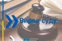 Харків'янина засудили до 7,5 років позбавлення волі за пограбування пенсіонерки