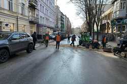 В Харькове упало дерево на дорогу: какие последствия