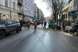 У Харкові впало дерево на дорогу: які наслідки 