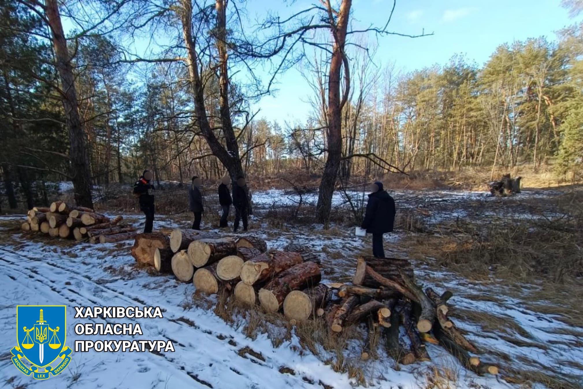порубка лісу, чорні лісоруби, дрова у Харківській обалсті